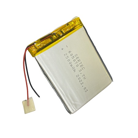 Sertec 605070 3.7V 2500 mAh Li-Polymer Pil (Devreli/1.5A)